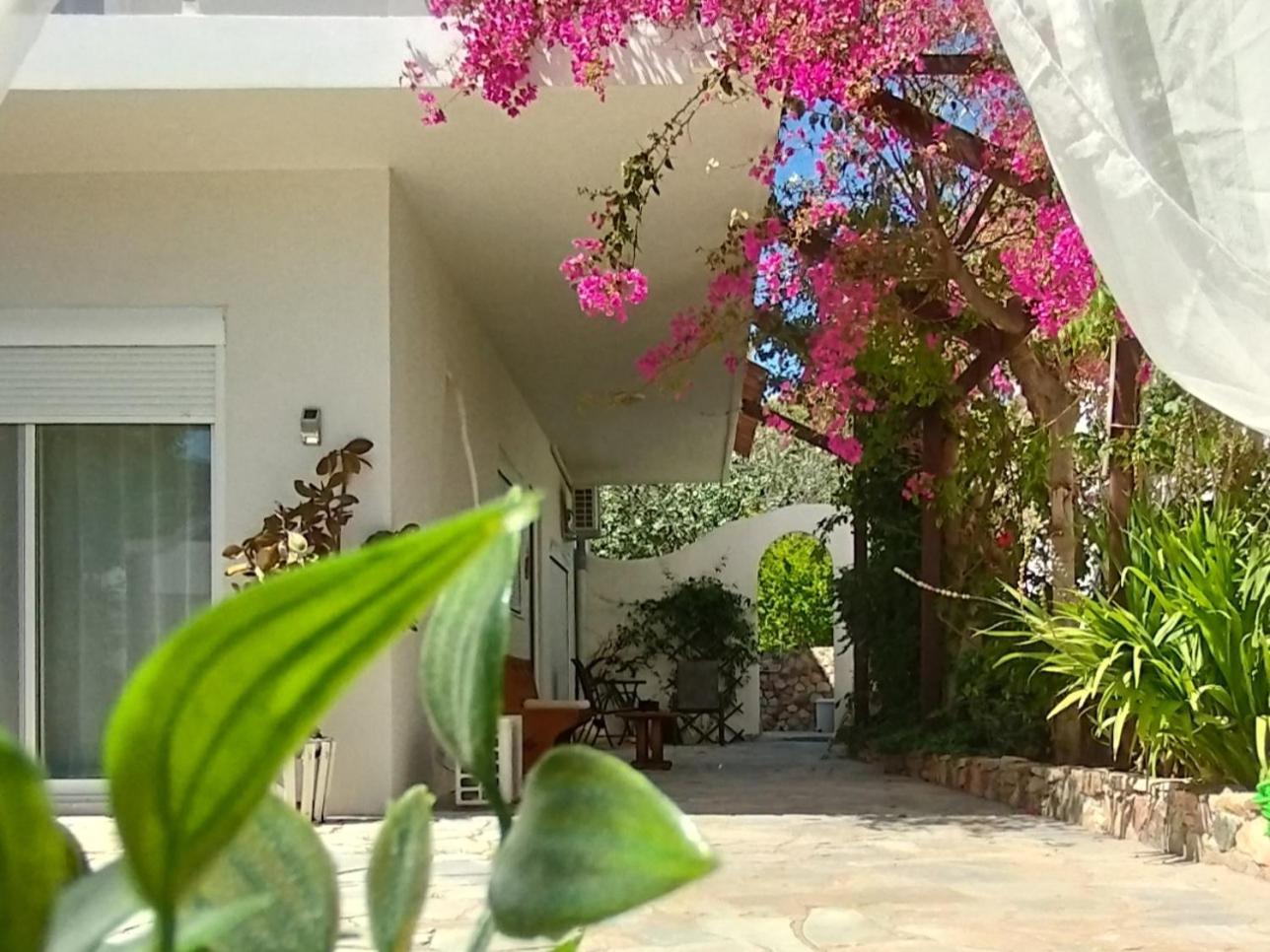 Marilen Apartment Livadia  Екстериор снимка